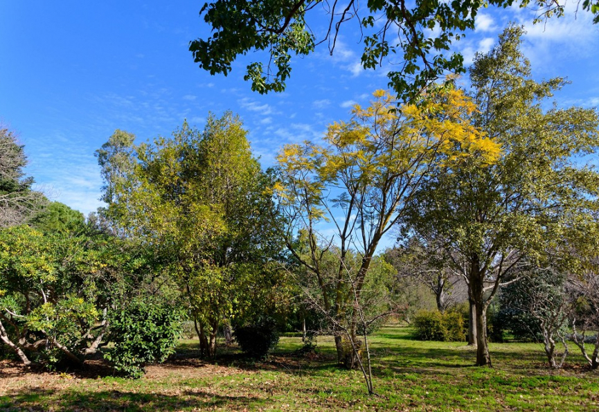 Modification du jardin botanique de saint-esteve Premium immobilier