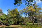 Modification du jardin botanique de saint-esteve Premium immobilier