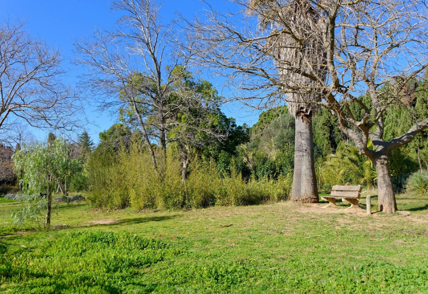 Modification du jardin botanique de saint-esteve Premium immobilier