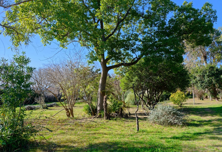 Modification du jardin botanique de saint-esteve Premium immobilier