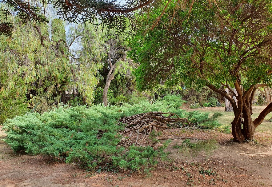 Modification du jardin botanique de saint-esteve Premium immobilier