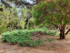 Modification du jardin botanique de saint-esteve Premium immobilier