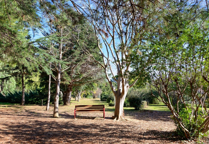 Modification du jardin botanique de saint-esteve Premium immobilier