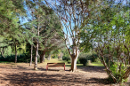 Modification du jardin botanique de saint-esteve Premium immobilier