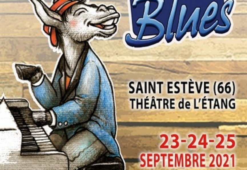 Festival sem le blues Premium immobilier