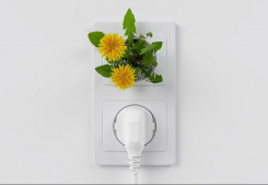 Sobriété énergétique : quelques conseils pour faire des économies Forcaprimm