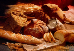 Envie d’ouvrir une boulangerie ? les clés pour réussir !  Forcaprimm
