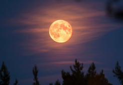 Une super lune des esturgeons va faire briller le ciel début août  date et explications Immobilière des yvelines