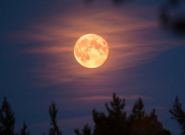 Une super lune des esturgeons va faire briller le ciel dbut aot  date et explications Immobilire des yvelines