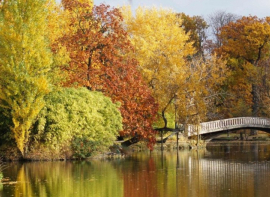 Au milieu coule la seine / grand lac des ibis, 78110 le vsinet. Immobilire des yvelines