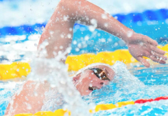 Mondiaux de natation : le saint-germanois david aubry en bronze sur le 1 500 m nage libre Immobilire des yvelines