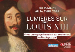 LumiÈres sur louis xiii Immobilière des yvelines