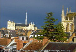 Témoignage client Cabinet albert 1er