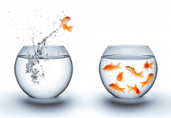 Agence immobilière CÔtÉ immobilier