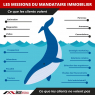 Le mandataire immobilier Maximmo
