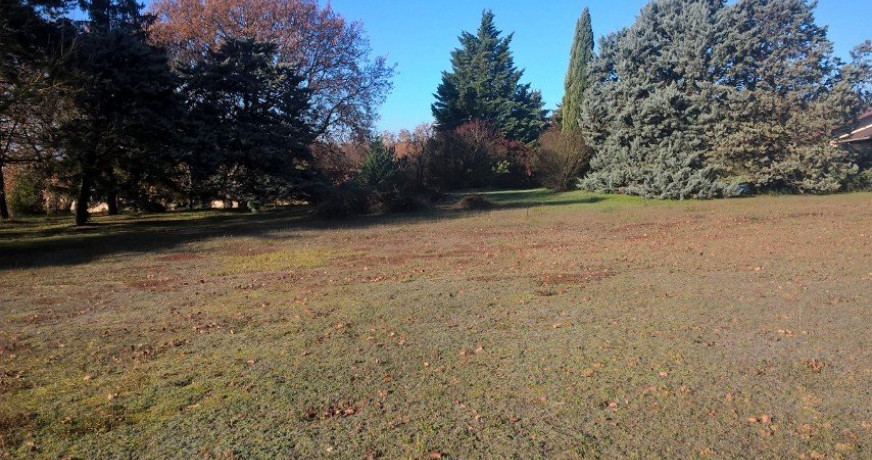 Programme neuf Montrabe Haute Garonne 3117997 Immoproj