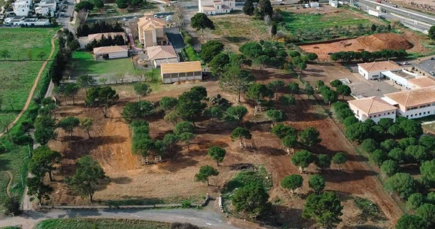 Programme neuf Agde Hérault 34148196 S'antoni immobilier