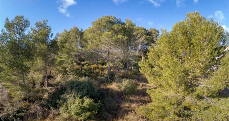 Programme neuf Grabels Hérault 34272354 Berge immo