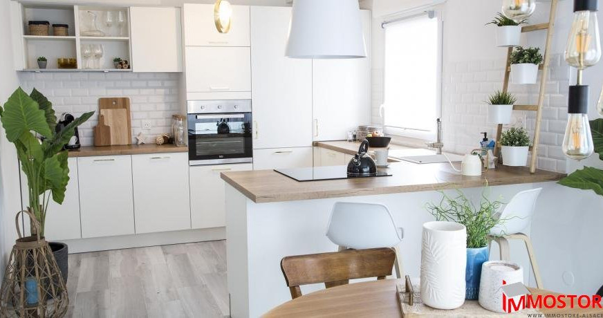 Programme neuf Kappelen Haut Rhin 6800930 Muth immobilier / immostore