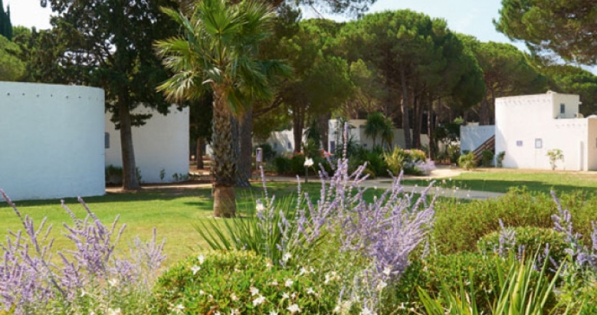 Programme neuf La Grande Motte Hérault 8500210981 Axo l\\\\\\\\\\\\\\\\\\\\\\\\\\\\\\\'immobilier actif