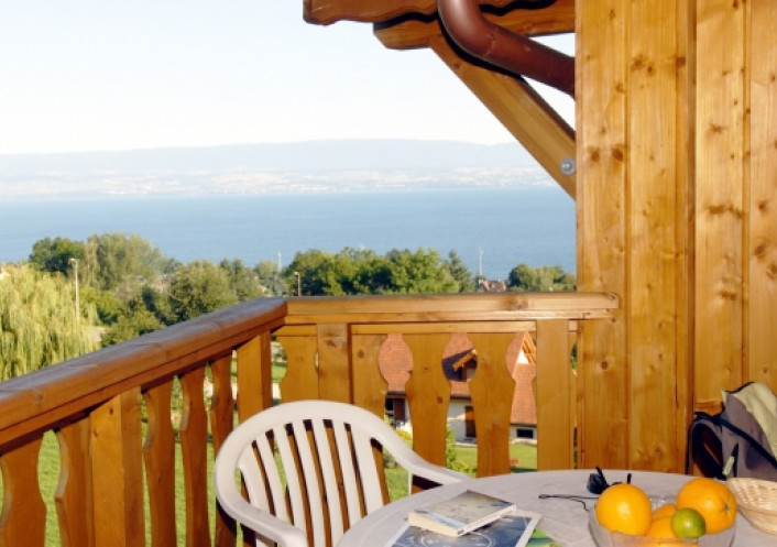 New build Evian Les Bains Haute Savoie 8500210983 A&a immobilier - axo & actifs